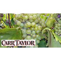 vineyard tour and wine tasting for two at carr taylor vineyard west su ...