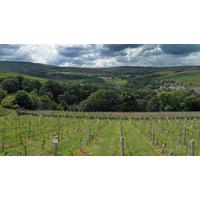 Vineyard Tour and Wine Tasting for Two at Holmfirth Vineyard