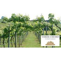 vineyard tour wine tasting with lunch for two at three choirs gloucest ...