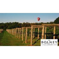 vineyard tour wine tasting and lunch for two at bolney wine estate
