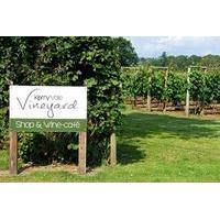 Vineyard Tour with Sparkling Afternoon Tea for Two