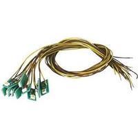 Viessmann 6007