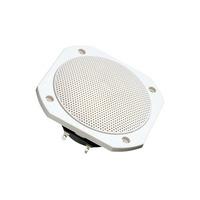 VISATON 2103 FRS 10 WPWhite Salt Water Resistant Speaker 8 Ohm