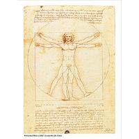 Vitruvian Man By Leonardo da Vinci