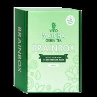 Vivid Matcha Green Tea Brain Box 14 Day Plan, Green