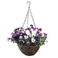 Viola Ochre Autumn 2 Pre Planted Rattan Baskets