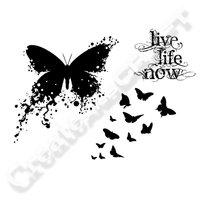 Visible Image Live Life Now Stamp Set 407008