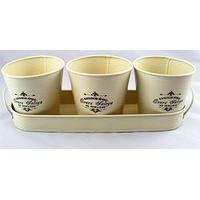 Vintage Round Planter Pots 10cm - Set Of 3