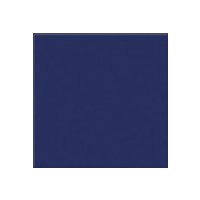 Victoria Blue Gloss Large (PRV3) Tiles - 200x200x6.5mm