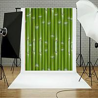 Vinyl Photo Backdrop Child Studi...
