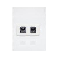 VivoLink Outlet Panel 2XRJ45 CAT5e, WI221283 (For Schneider / Thorsman CYB, TEK, Optiline system or surface wall mounting.)