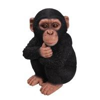 Vivid Arts Baby Chimpanzee Resin Ornament