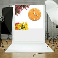Vinyl Photo Backdrop Child Studi...