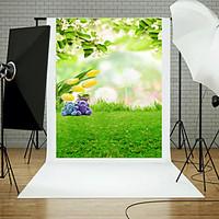 Vinyl Photo Backdrop Child Studi...