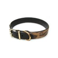 vital pet products collars and leads lince 25mm x 65cm leather collar