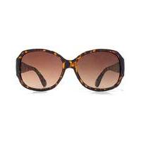 viva la diva taylor square sunglasses