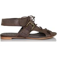 Vienty casual sandal buckle women\'s Sandals in brown