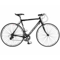 Viking Treviso (2013)