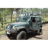 Volcano Tour to Ixtazihuatl