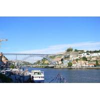 Volunteer Tourism Experience in Porto