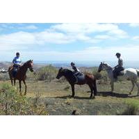 Volcanic Horse Riding Tour in Gran Canaria