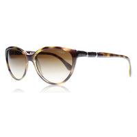 vogue 2894sb sunglasses brown 191613