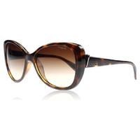 Vogue 2819s Sunglasses Tortoise W65613