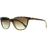 vogue 2729s sunglasses tortoise w65613