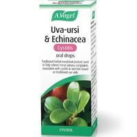 Vogel Uva-ursi and Echinacea Cystitis oral drops (50ml)