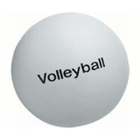 Volley Volleyball (210/GV)