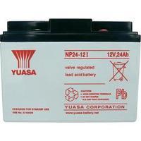 vrla 12 v 24 ah yuasa np24 12 np24 12 agm w x h x d 166 x 125 x 175 mm ...