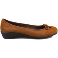 Vulladi SERRAJE MANOLETINA women\'s Shoes (Pumps / Ballerinas) in brown