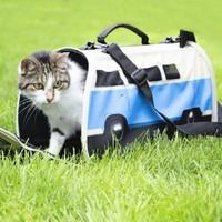 VW Blue Pet Carrier