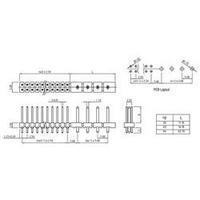 W & P Products 987-24-04-10-00