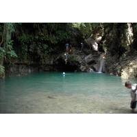 Waterfalls of Damajagua and Tropical Petting Zoo