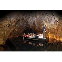 Waitomo Caves and Rotorua Day Trip from Auckland