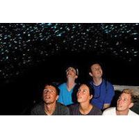 Waitomo Glowworm Caves Discovery Tour from Rotorua