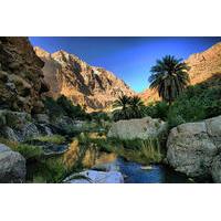 Wadi Bani Awf Private Tour