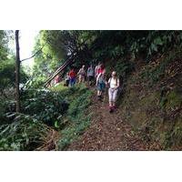 Walking Tour - Sanguinho