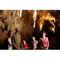 waitomo glowworm caves discovery tour from auckland