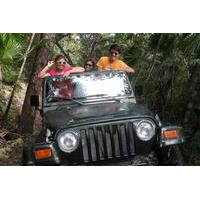 Waterfall Jungle Jeep Adventure and Cachaca Tour from Paraty