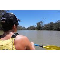 Warrego River Kayak Tour Including Lunch from Cunnamulla