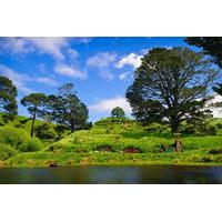 Waitomo Caves and The Lord of the Rings Hobbiton Movie Set Tour from Auckland with Private Transport