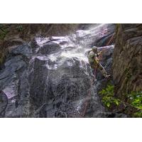 waterfall rappelling at bocawina rainforest