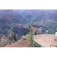 waimea canyon bicycle downhill