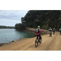 Waiheke Island Bike Tour Including Ziplining from Auckland