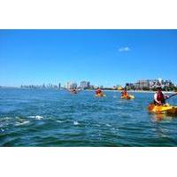 Wave Break Island Kayak, Bushwalking and Snorkeling Tour from the Gold Coast