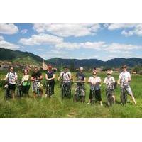 Wachau Valley Winery Small-Group Bike Tour from Vienna