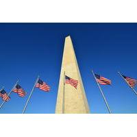 Washington DC Guided City Tour by Bus