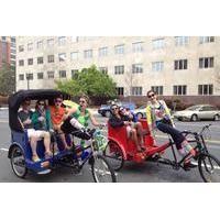 Washington DC National Mall and Museums Pedicab Tour
